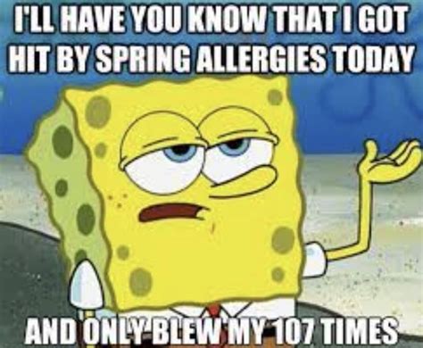 35 Funny Allergy Memes About Pollen And Seasonal Allergies in 2023 ...