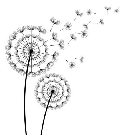 Dandelion Seeds Blowing Illustrations, Royalty-Free Vector Graphics & Clip Art - iStock