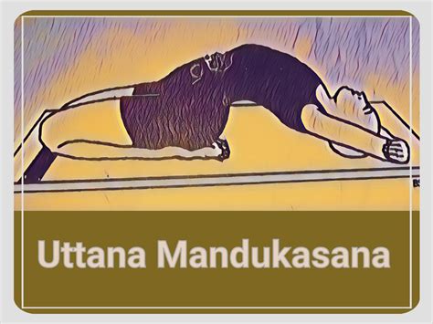 Uttana Mandukasana Benefits - The Healer Yoga