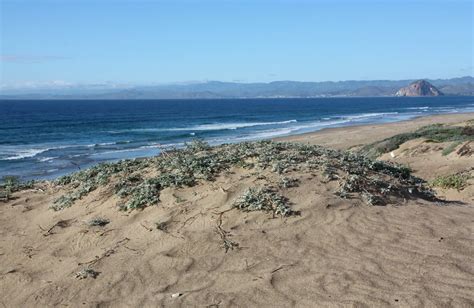 Montana de Oro State Park – Sandspit Beach, Los Osos, CA - California ...