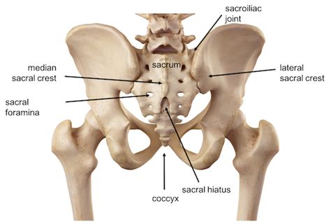 Sacrum fracture