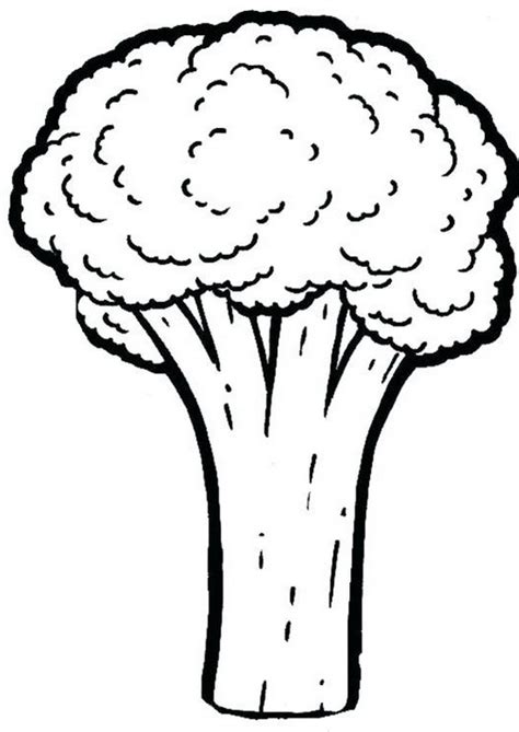 Top Topic Broccoli Coloring Pages for Preschool Students - Coloring Pages