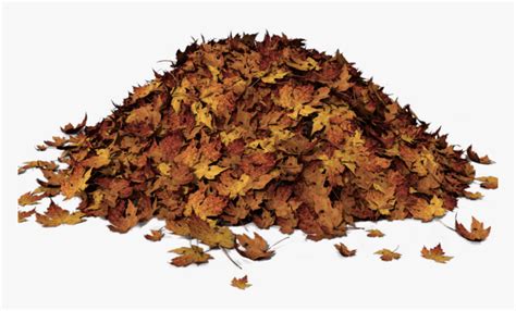 Pile Of Leaves Clip Art, HD Png Download - kindpng