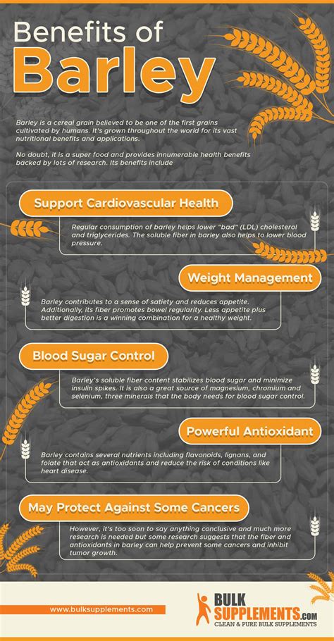 Barley: Grain & Grass Nutrition Benefits