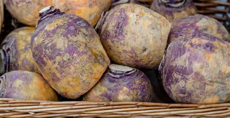 Rutabaga: Nutrition Facts, Health Benefits, Side Effects