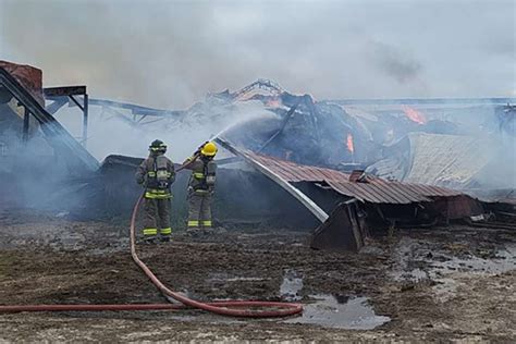 Devastating Barn Fire Kills Over 200 Cattle - Guelph Events and Information