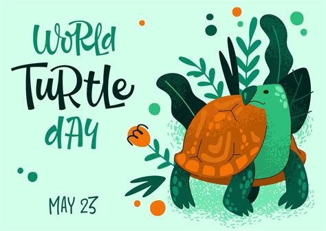 Poster with World Turtle Day announcement 14471583 Vector Art at Vecteezy