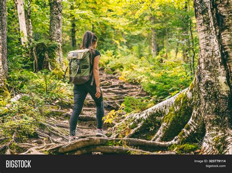 Forest Hike Trail Image & Photo (Free Trial) | Bigstock