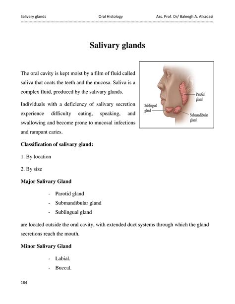 Salivary glands in human body - Salivary glands The oral cavity is kept ...