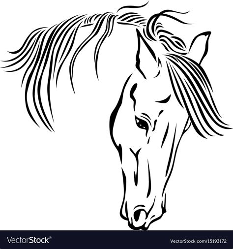 Beautiful horse head Royalty Free Vector Image