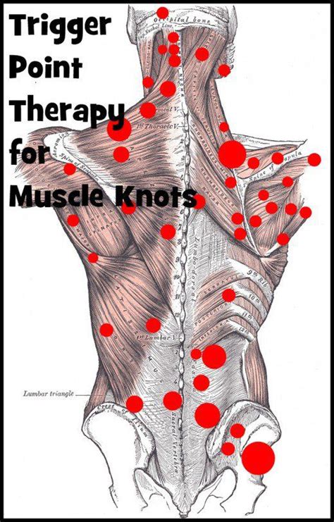 Trigger Point Therapy for Muscle Knots mobility exercises trigger ...