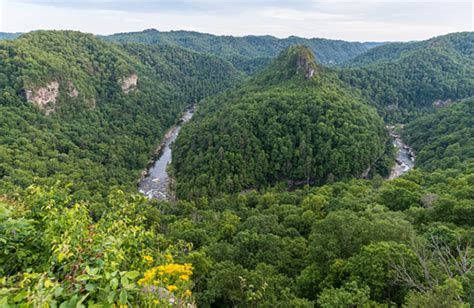 Art Lander's Outdoors: The Big Sandy River and its Tug Fork form the southeastern boundary of Ky ...