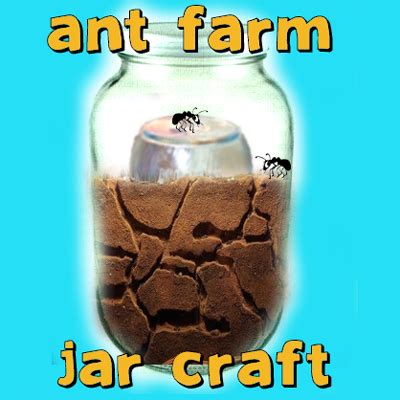 How to Make an Ant Farm Jar and Watch an Ant Colony Build Mazes - Kids ...