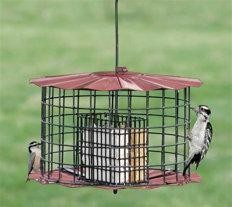 Duncraft.com: Copper Baffled Suet Feeder | Squirrel proof bird feeders, Suet feeder, Bird feeders