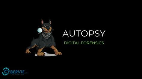 Introduction To Autopsy | An Open-Source Digital Forensics Tool - CYBERVIE