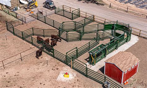 5 simple steps to designing beef cattle corrals | AGDAILY