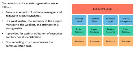 ⭐ Advantages of matrix organization. Advantages and disadvantages of matrix organizational ...