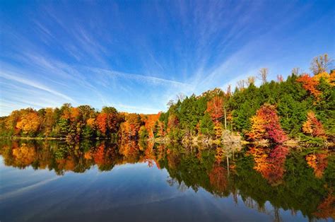 Hardwood forests along the banks of the Kingsport Reservoir. #travel #photography #photooftheday ...