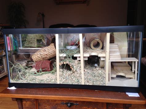 My gerbil cage is made with a turtle aquarium of 36" wide and 18" deep ...