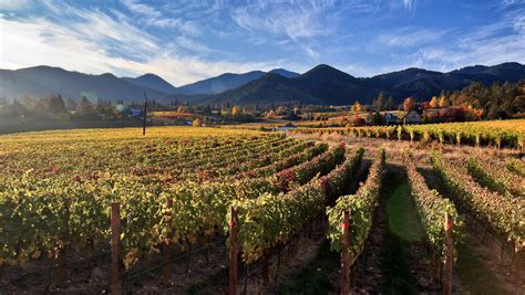 A Guide to Southern Oregon Wine | SevenFifty Daily