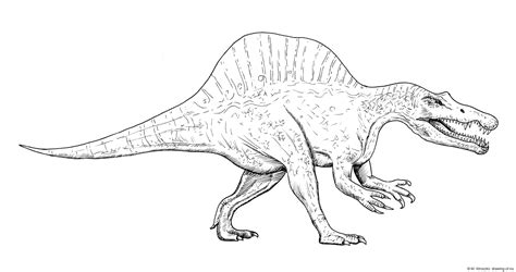 Drawing of spinosaurus – Line art illustrations