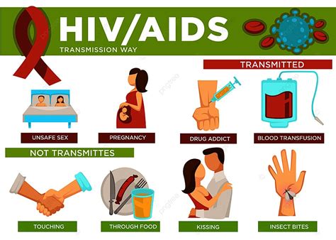 Hiv E Pôster De Formas De Transmissão De Aids Com Vetor De Informações Modelo para download ...