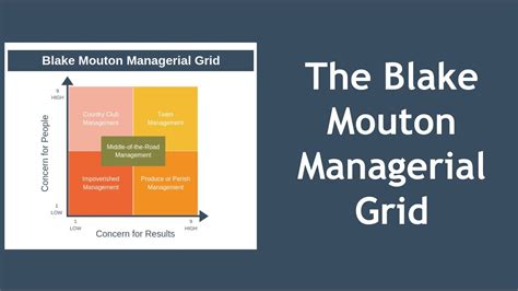 Blake mouton managerial grid type of theory - learnjza