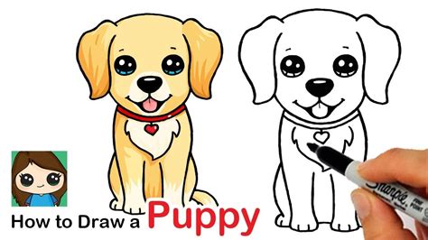 How to Draw a Labrador | Golden Retriever Puppy Easy - YouTube | Puppy ...