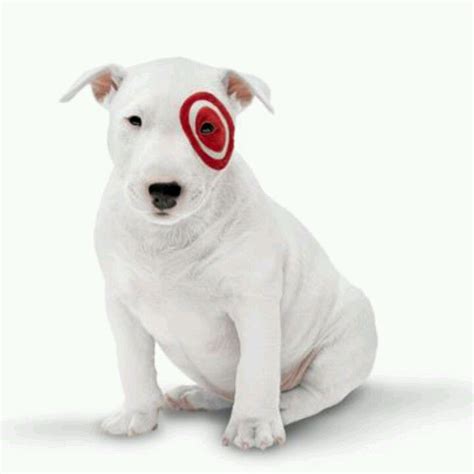 Target Dog"!!!"!" Animal Pictures, Cute Pictures, Critters 3, Different ...