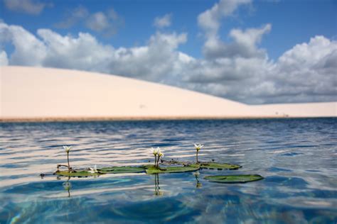 Lençóis Maranhenses: How to Visit Brazil Sand Dunes and Lagoons