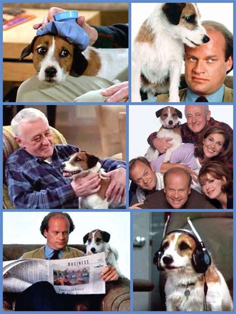 52 best images about Eddie From Frasier aka "Moose & Enzo" on Pinterest | John mahoney, Actors ...