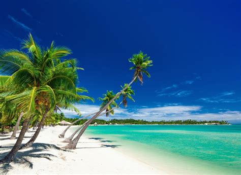 Fiji (Ground)| Land Only Tour | AF Travel