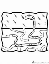 Worm Coloring Pages  Home sketch template