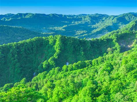 World Natural Heritage Site, Shirakami-Sanchi | TOHOKU x TOKYO (JAPAN)