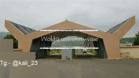 Woldia university 1st year vine 2012 - YouTube