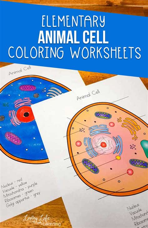 Results for cell coloring page worksheets library - Worksheets Library