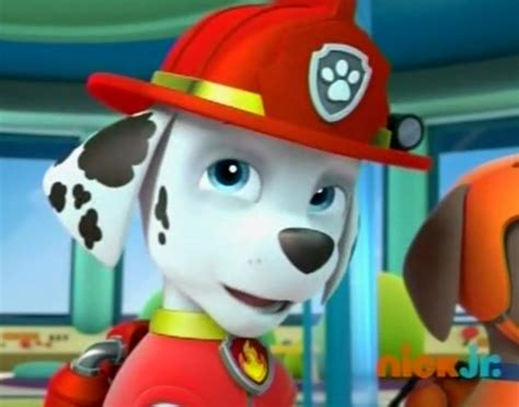 Marshall, the Dalmatian - PAW Patrol Photo (40125876) - Fanpop