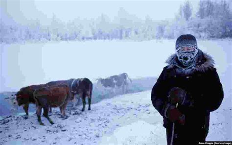 Siberia's 'Pole Of Cold'