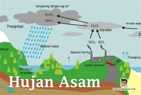 Pengertian dan Proses Hujan Asam beserta Dampaknya - Ayok Sinau