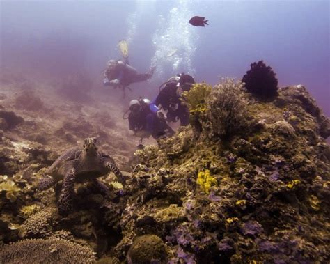 Scuba Diving - Palawan Alternative