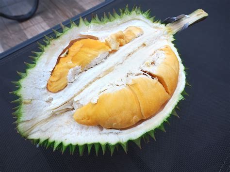 Updated Guide to 234 Thailand Durian Varieties