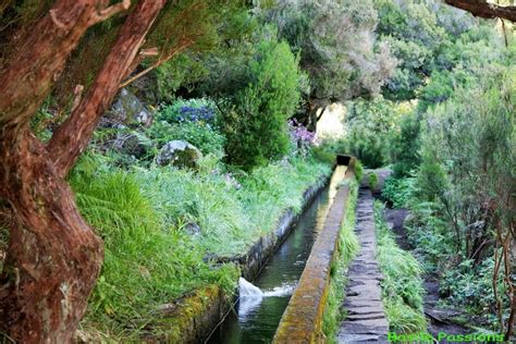 The Levadas - The waterways of Madeira - Ocean Retreat