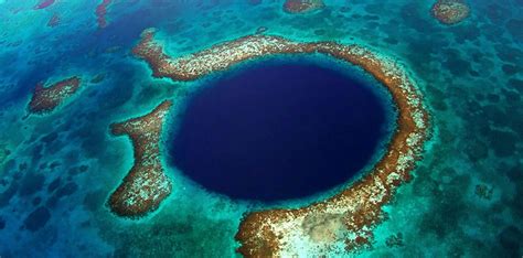 Scuba Diving in Ambergris Caye: A Life-Altering Experience You Must Try