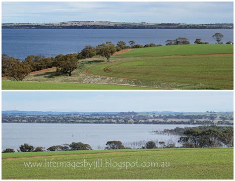 Life Images by Jill: Lake Dumbleyung - Western Australia - once in 20 ...