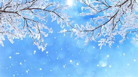 Snowflake Branch In Snowfall 4K 5K HD Snowflake Wallpapers | HD Wallpapers | ID #50452