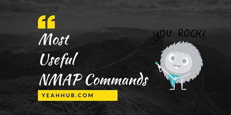 19 Useful NMAP Commands You Should Know - Yeah Hub