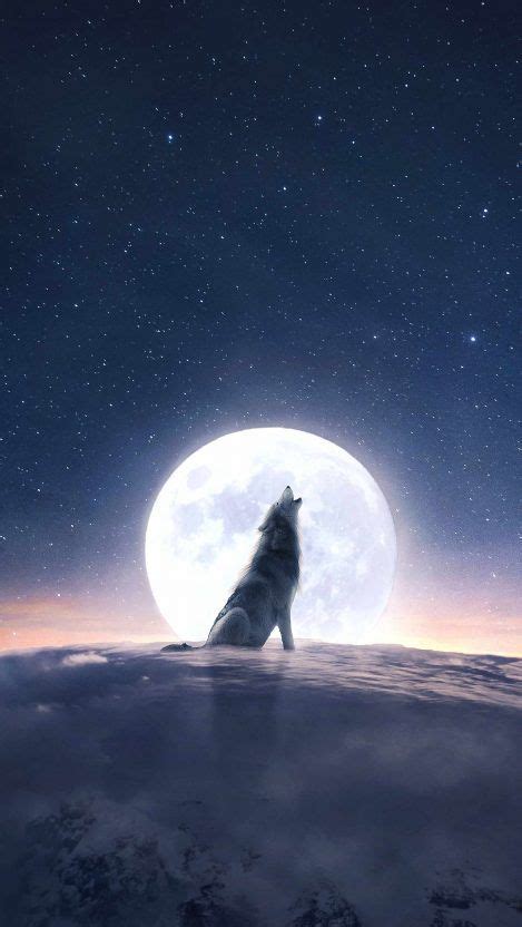 Wolf Howling At The Moon Wallpaper