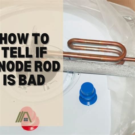 How to Tell if Anode Rod Is Bad – The Tibble