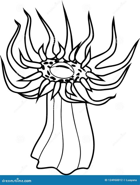 Sea Anemone With Tentacles Coloring Page Vector Illustration | CartoonDealer.com #124950012