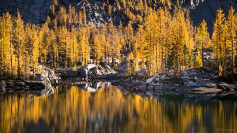 18 Best Larch Hikes in Washington for Seeing Magical Fall Colors (2023)